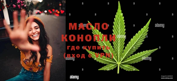 прущий лед Михайлов