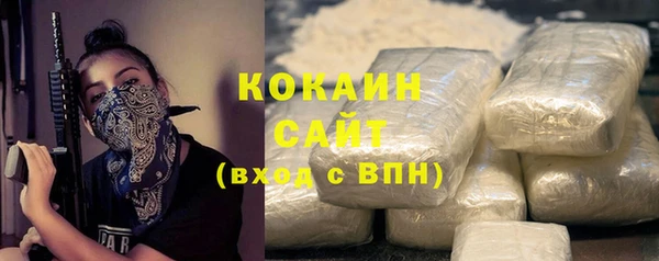 прущий лед Михайлов