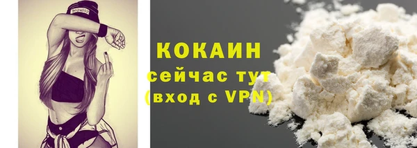 прущий лед Михайлов