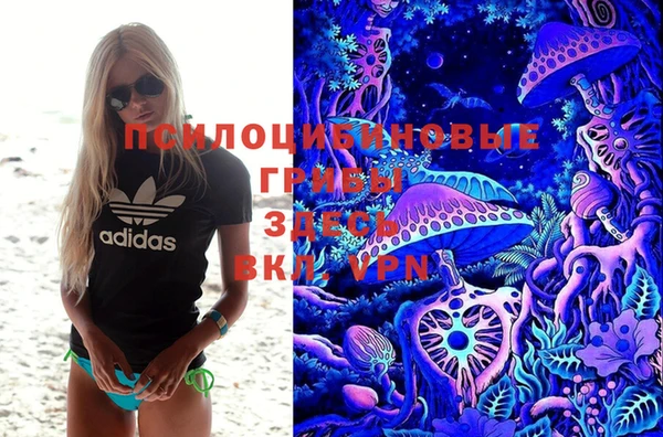 mdpv Михайловск