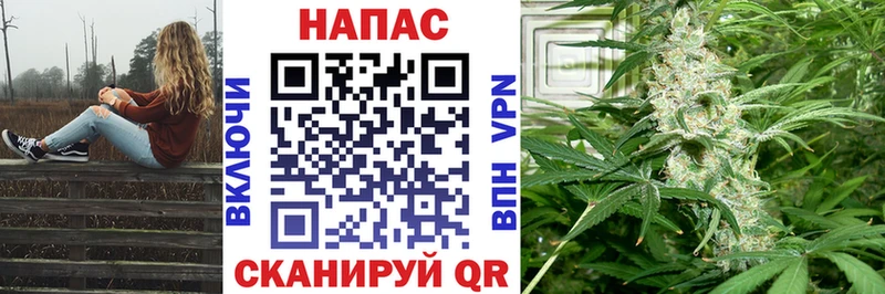 Марихуана планчик  Краснообск 